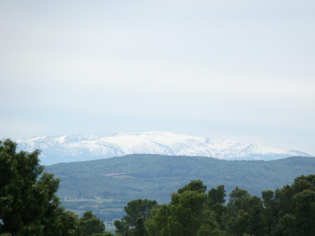 Chateau La Bouriette Moussoulens Dış mekan fotoğraf